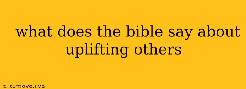  What Does The Bible Say About Uplifting Others