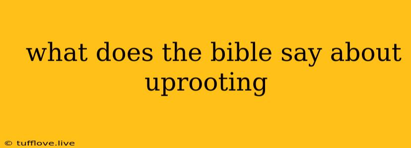  What Does The Bible Say About Uprooting