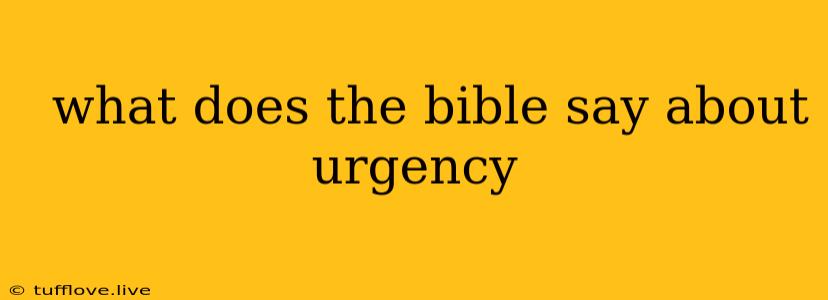  What Does The Bible Say About Urgency