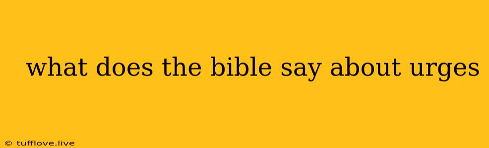  What Does The Bible Say About Urges