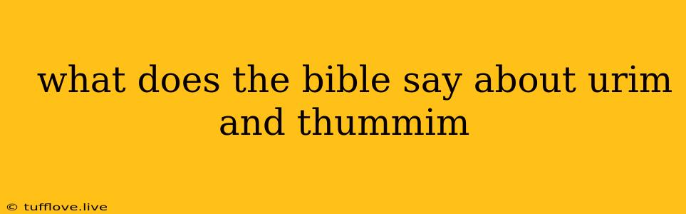  What Does The Bible Say About Urim And Thummim