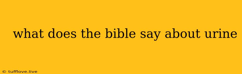  What Does The Bible Say About Urine