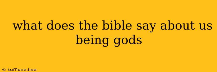  What Does The Bible Say About Us Being Gods