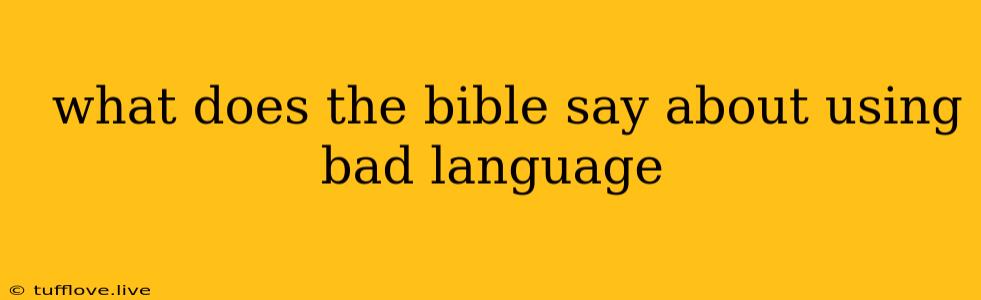  What Does The Bible Say About Using Bad Language