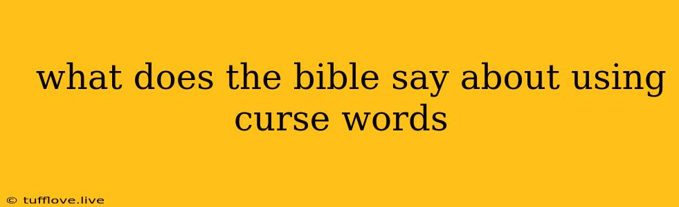  What Does The Bible Say About Using Curse Words