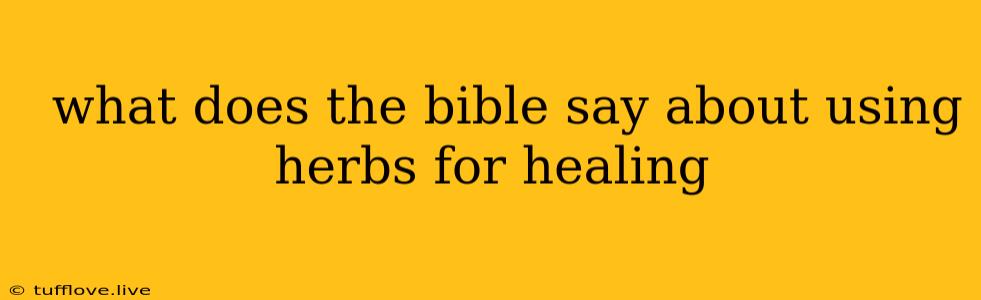  What Does The Bible Say About Using Herbs For Healing