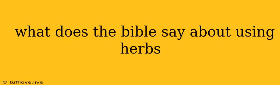  What Does The Bible Say About Using Herbs