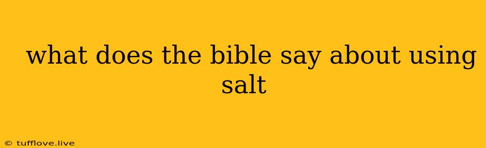  What Does The Bible Say About Using Salt