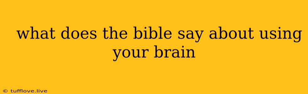  What Does The Bible Say About Using Your Brain