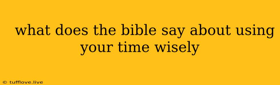  What Does The Bible Say About Using Your Time Wisely