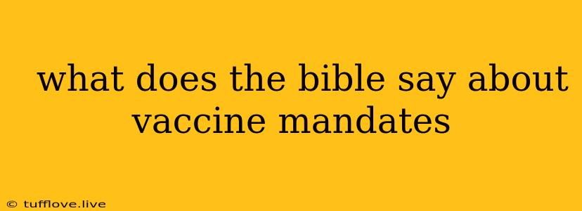  What Does The Bible Say About Vaccine Mandates