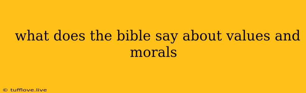  What Does The Bible Say About Values And Morals