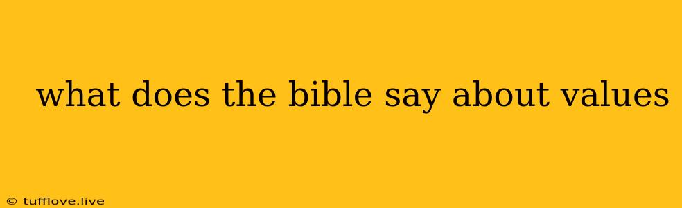  What Does The Bible Say About Values