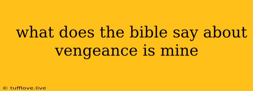  What Does The Bible Say About Vengeance Is Mine