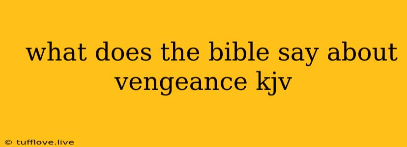  What Does The Bible Say About Vengeance Kjv