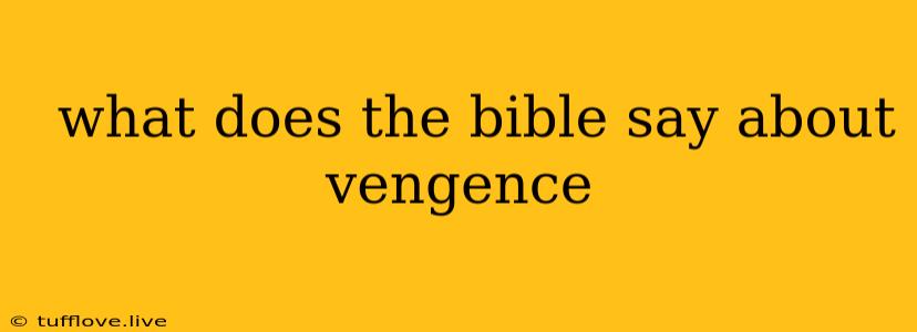  What Does The Bible Say About Vengence