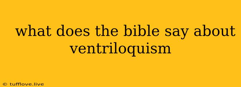  What Does The Bible Say About Ventriloquism