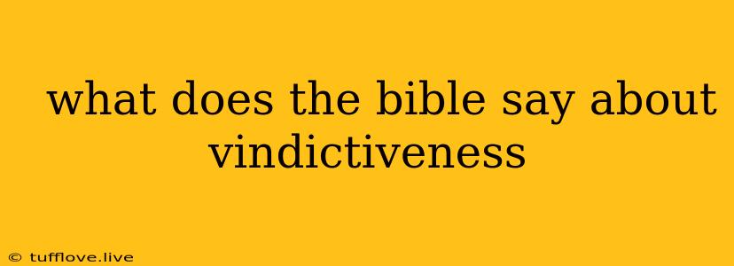  What Does The Bible Say About Vindictiveness