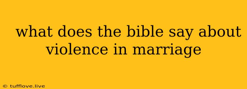  What Does The Bible Say About Violence In Marriage