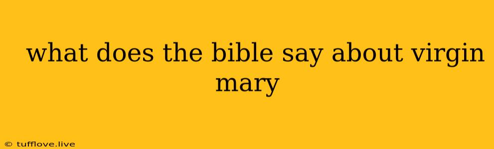  What Does The Bible Say About Virgin Mary