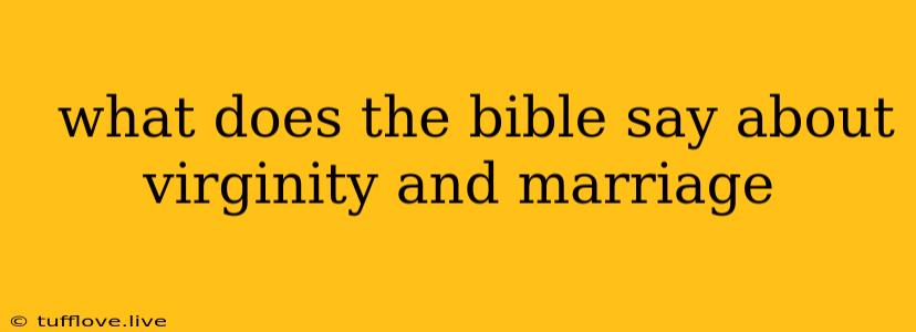  What Does The Bible Say About Virginity And Marriage