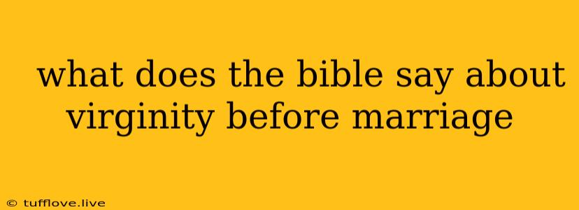  What Does The Bible Say About Virginity Before Marriage