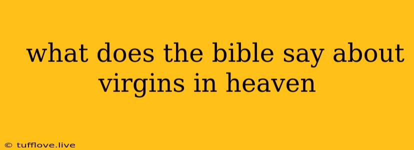  What Does The Bible Say About Virgins In Heaven