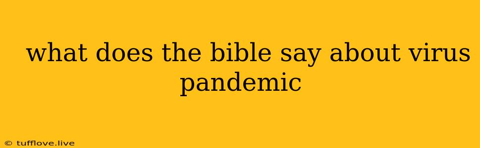  What Does The Bible Say About Virus Pandemic