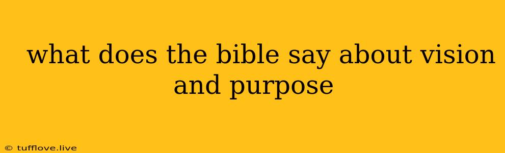  What Does The Bible Say About Vision And Purpose