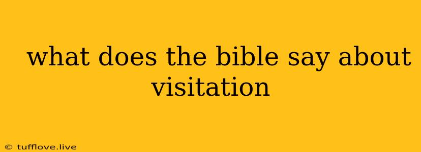  What Does The Bible Say About Visitation