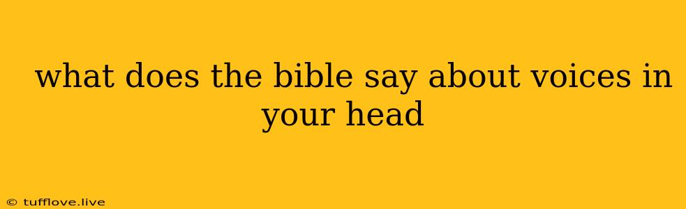  What Does The Bible Say About Voices In Your Head