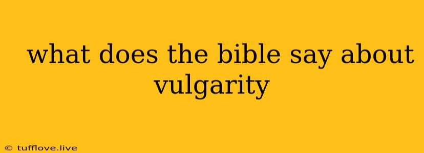  What Does The Bible Say About Vulgarity