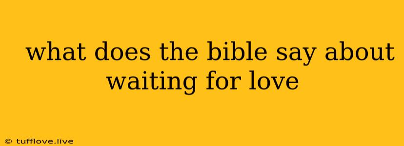  What Does The Bible Say About Waiting For Love