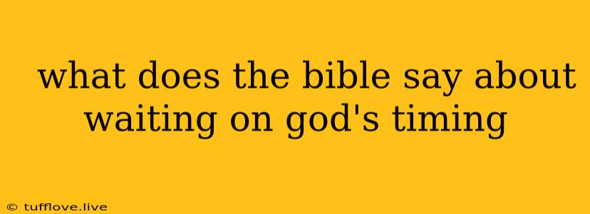  What Does The Bible Say About Waiting On God's Timing