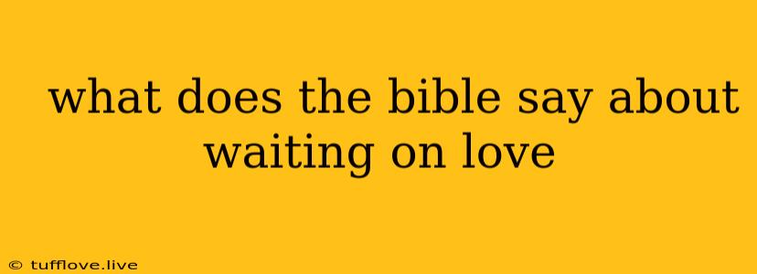  What Does The Bible Say About Waiting On Love