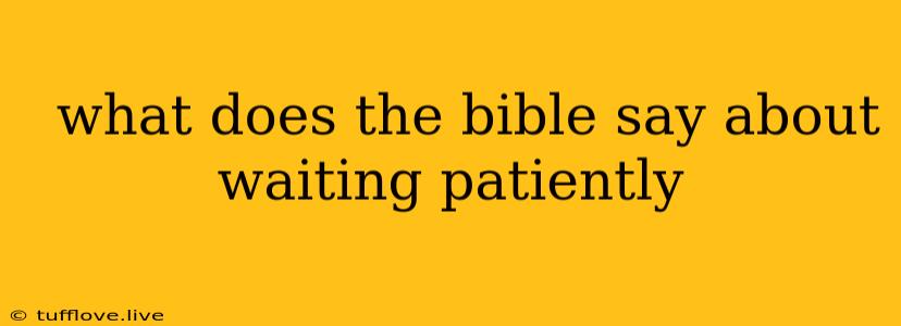  What Does The Bible Say About Waiting Patiently