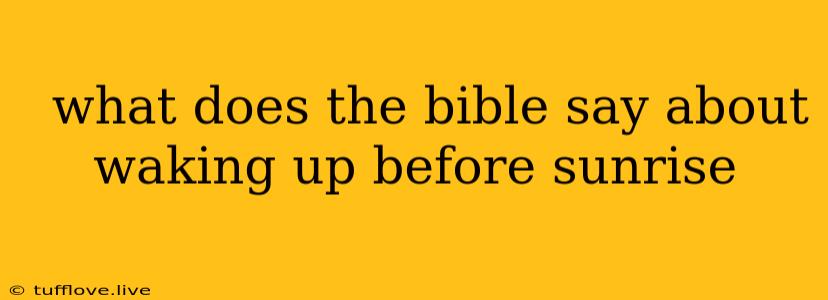  What Does The Bible Say About Waking Up Before Sunrise