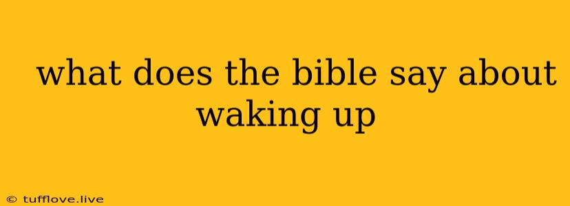  What Does The Bible Say About Waking Up