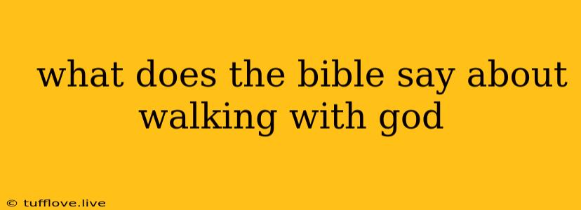  What Does The Bible Say About Walking With God