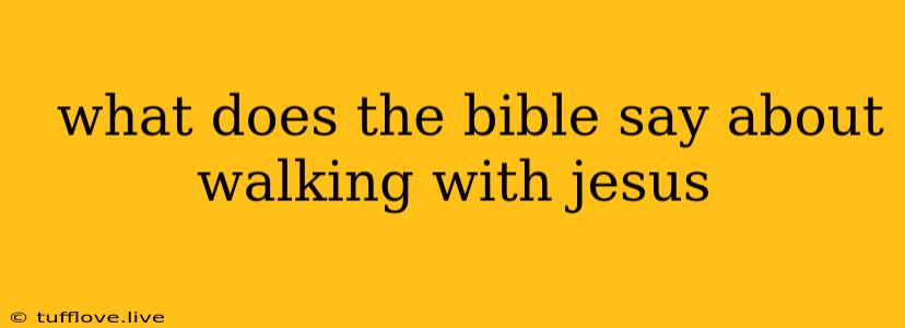  What Does The Bible Say About Walking With Jesus