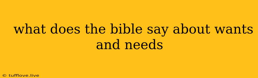  What Does The Bible Say About Wants And Needs