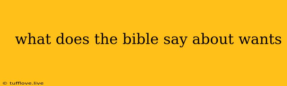  What Does The Bible Say About Wants