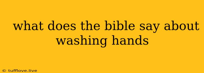  What Does The Bible Say About Washing Hands