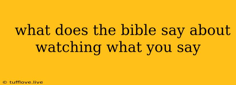  What Does The Bible Say About Watching What You Say