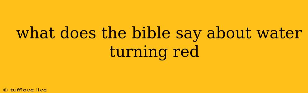  What Does The Bible Say About Water Turning Red