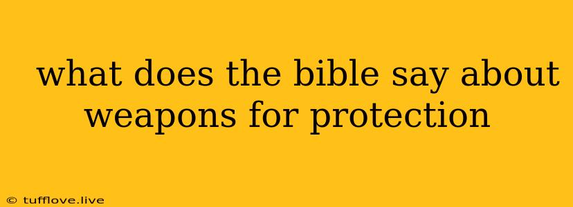  What Does The Bible Say About Weapons For Protection