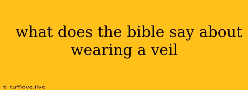  What Does The Bible Say About Wearing A Veil