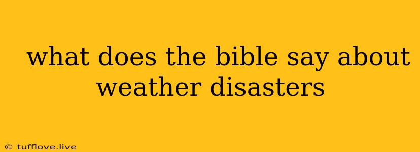  What Does The Bible Say About Weather Disasters