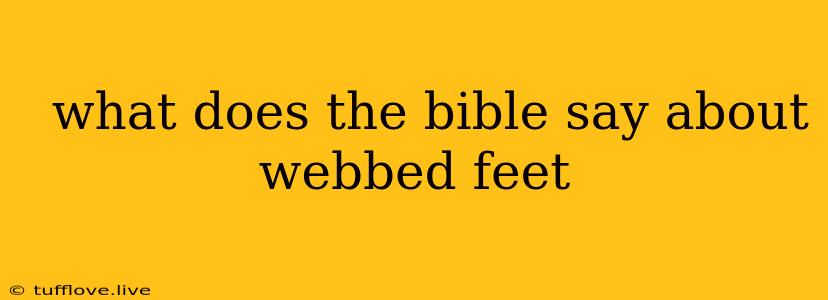  What Does The Bible Say About Webbed Feet