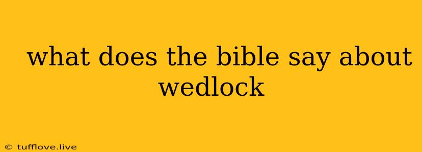  What Does The Bible Say About Wedlock